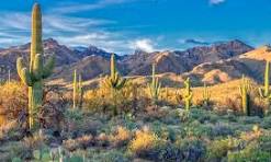 RUTAS POR EL MUNDO x SECRET GARDEN: cuando viajar se encuentra con la naturaleza